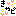きゃぴ