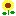 ひまわり