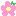 お花♪