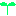 葉っぱ