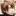 yomi