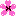 さくら