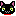 黒猫