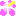 ハイビスカス