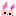 うさぎ