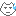 白い猫