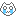 白い猫