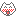 白い猫