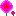ポピー２