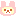 こりら