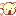 コアラ
