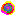 Rainbow rose