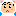 白くまツヨたん