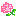 ばら