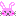 ウサギ
