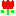 チューリップy