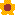 ひまわり
