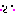 鼻