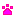 わんこ