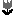 sachi