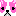 ボストンテリア