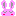 うさぎさん☆