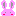 うさぎさん☆