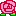 バラ