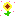 ひまわり