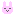 うさぎ