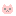 動物