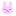 うさぎ