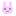 うさぎ