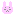 うさぎ