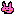 ピンク色のうさぎ