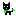 Black cat