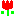 チューリップ
