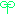 双葉