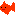 金魚