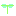 葉っぱ