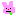 うさぎ