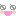 顔