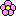 マリクワ花