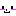 二コ