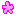 ハニー花