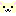 チワワ