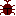 kabutomushi