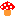 きのこ