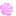 .+バラ+.