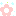 お花＊。